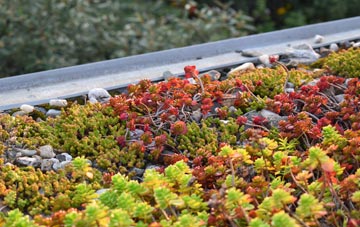 the cost of Masham green roof installation
