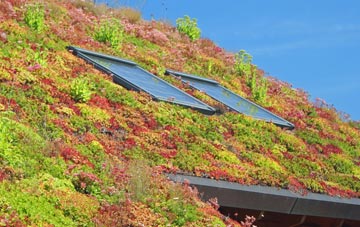 Masham living roof systems